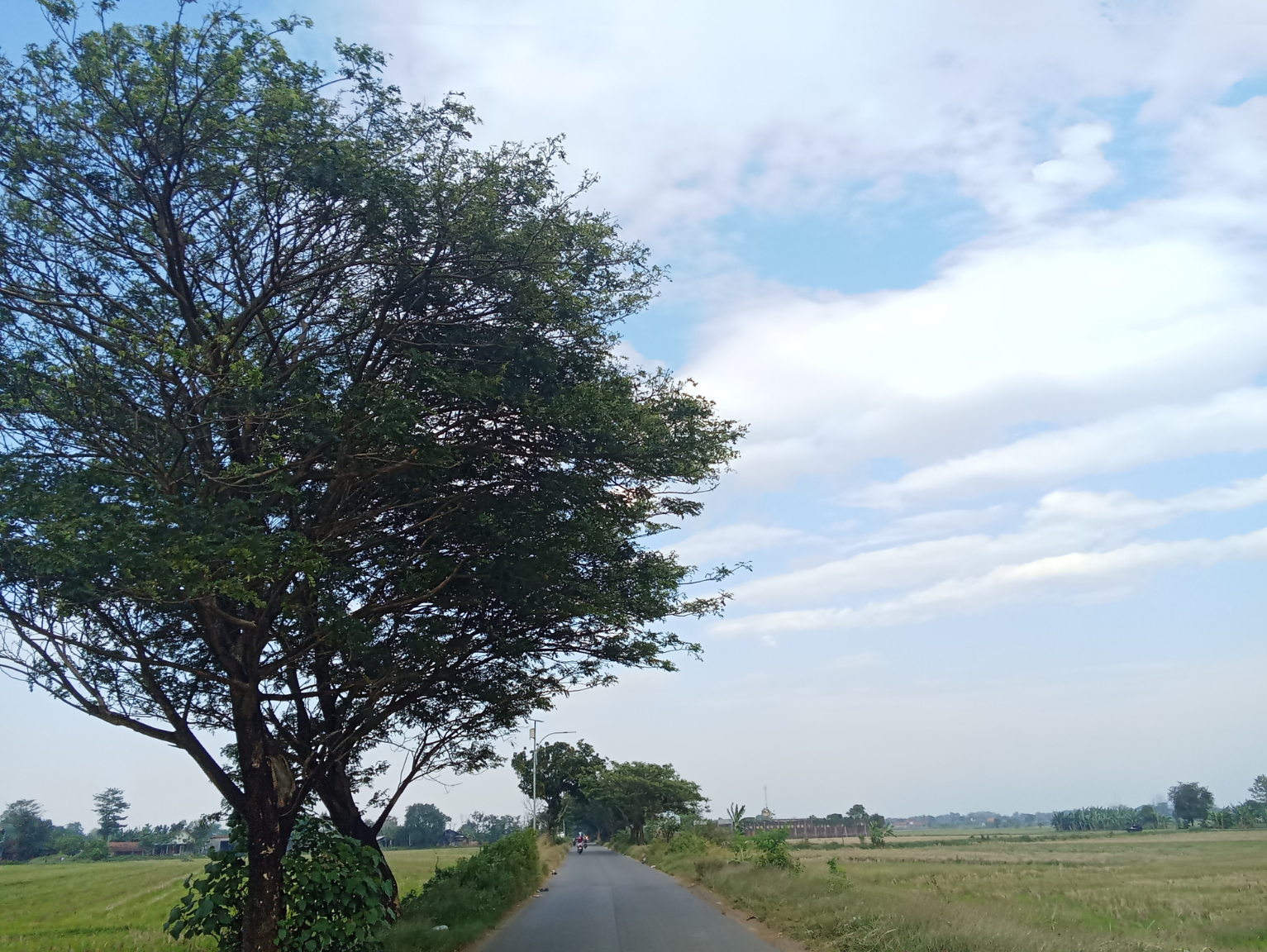 坂祝町の産業を活性化するWebサイト