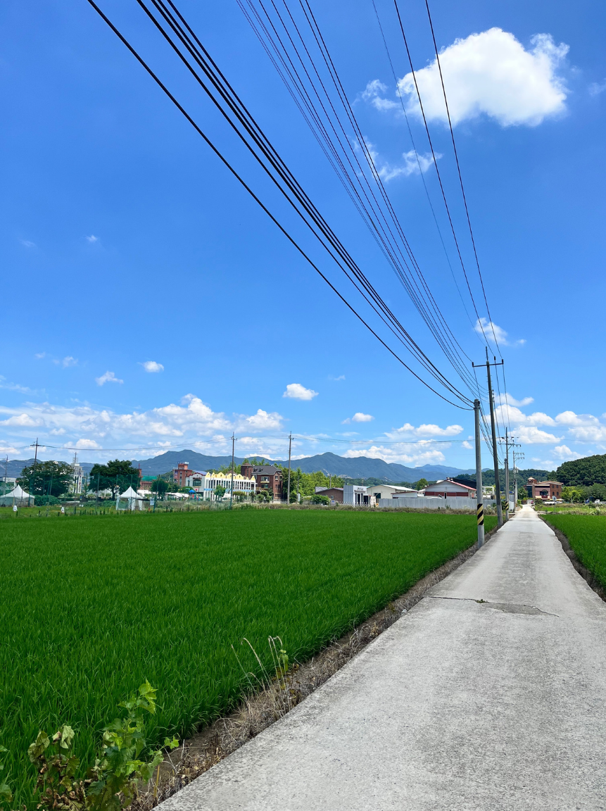 坂祝町の街並みとホームページ制作の親和性